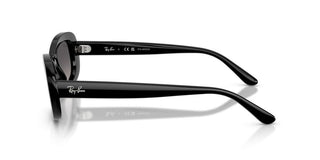 Ray-ban Rb 2221 Women Black Oval Sunglasses