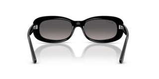 Ray-ban Rb 2221 Women Black Oval Sunglasses