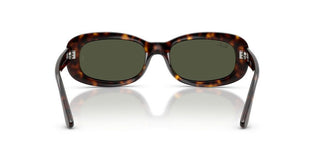 Ray-Ban RB 2221 women Havana Oval Sunglasses