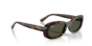 Ray-Ban RB 2221 women Havana Oval Sunglasses