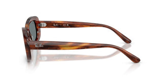 Ray-Ban RB 2221 women Havana Oval Sunglasses