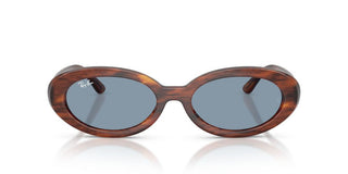 Ray-Ban RB 2223 women Havana Sunglasses