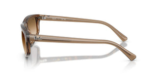 Ray-Ban RB 2225 unisex Brown Geometric Sunglasses