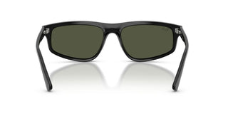 Ray-ban Rb 2225 Unisex Black Geometric Sunglasses