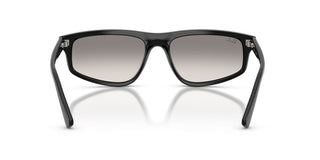 Ray-ban Rb 2225 Unisex Black Geometric Sunglasses