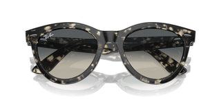 Ray-ban Rb 2241 Unisex Havana Squared Sunglasses