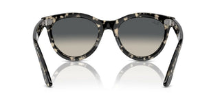 Ray-ban Rb 2241 Unisex Havana Squared Sunglasses