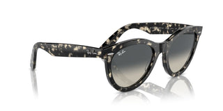 Ray-ban Rb 2241 Unisex Havana Squared Sunglasses