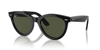 Ray-ban Rb 2241 Unisex Black Squared Sunglasses