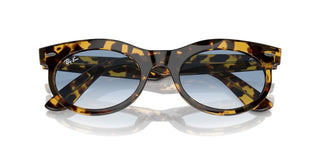 Ray-ban Rb 2242 Unisex Havana Squared Sunglasses