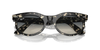 Ray-ban Rb 2242 Unisex Havana Squared Sunglasses