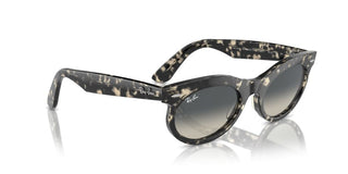 Ray-ban Rb 2242 Unisex Havana Squared Sunglasses