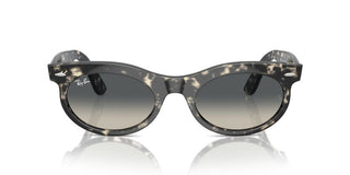Ray-ban Rb 2242 Unisex Havana Squared Sunglasses
