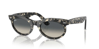 Ray-ban Rb 2242 Unisex Havana Squared Sunglasses