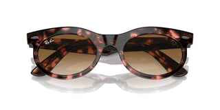 Ray-ban Rb 2242 Unisex Havana Squared Sunglasses