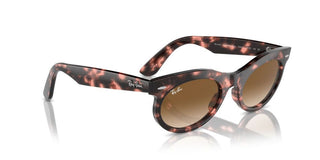 Ray-ban Rb 2242 Unisex Havana Squared Sunglasses