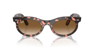 Ray-ban Rb 2242 Unisex Havana Squared Sunglasses