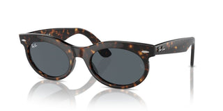 Ray-ban Rb 2242 Unisex Havana Squared Sunglasses