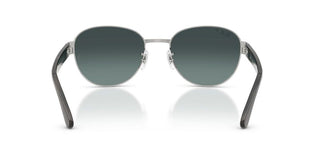 Ray-Ban RB 3766CH unisex Silver Sunglasses