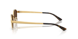 Ray-Ban RB 3774D unisex Gold Oval Sunglasses