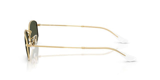 Ray-ban Rb 3832 Unisex Gold Rectangle Sunglasses