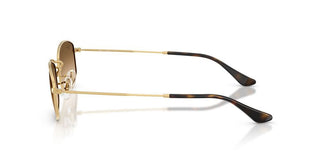 Ray-ban Rb 3832 Unisex  Rectangle Sunglasses