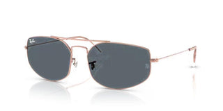 Ray-Ban RB 3845 unisex Brown Visor Sunglasses