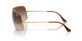 Ray-ban Rb 3897 Unisex Gold Shield Sunglasses