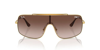 Ray-ban Rb 3897 Unisex Gold Shield Sunglasses
