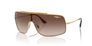 Ray-ban Rb 3897 Unisex Gold Shield Sunglasses