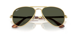 Ray-ban Rb 3925 Unisex Gold Pilot Sunglasses