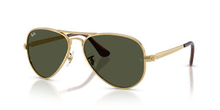 Ray-ban Rb 3925 Unisex Gold Pilot Sunglasses
