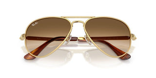 Ray-Ban RB 3925 unisex 0 Pilot Sunglasses