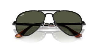 Ray-Ban RB 3925 unisex 0 Pilot Sunglasses