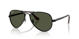Ray-Ban RB 3925 unisex 0 Pilot Sunglasses