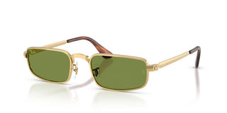 Ray-Ban RB 3927 unisex Gold Rectangle Sunglasses