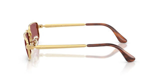 Ray-Ban RB 3927 unisex Gold Rectangle Sunglasses