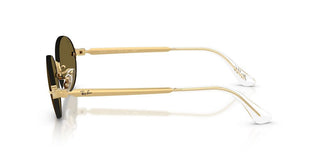 Ray-Ban RB 3929 unisex Gold Oval Sunglasses