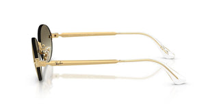 Ray-Ban RB 3929 unisex Gold Oval Sunglasses