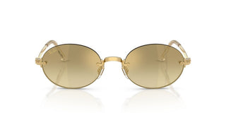 Ray-Ban RB 3929 unisex Gold Oval Sunglasses