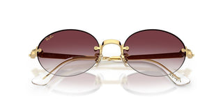 Ray-Ban RB 3929 unisex Gold Oval Sunglasses