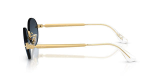 Ray-Ban RB 3929 unisex Gold Oval Sunglasses