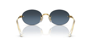 Ray-Ban RB 3929 unisex Gold Oval Sunglasses