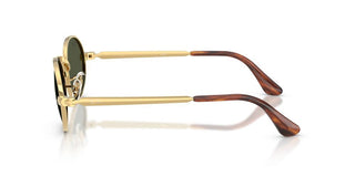 Ray-ban Rb 3931 Unisex Gold Round Sunglasses