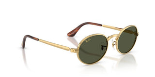 Ray-Ban RB 3931 unisex Gold Round Sunglasses