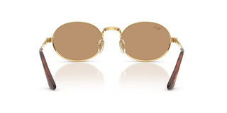 Ray-Ban RB 3931 unisex 0 Round Sunglasses