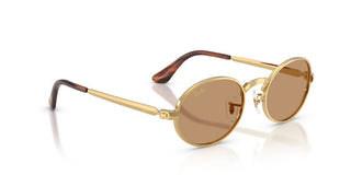 Ray-Ban RB 3931 unisex 0 Round Sunglasses