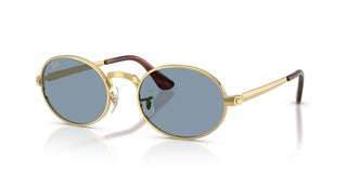 Ray-Ban RB 3931 unisex Gold Round Sunglasses
