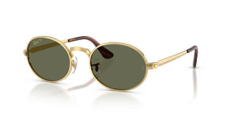 Ray-Ban RB 3931 unisex Gold Round Sunglasses