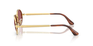 Ray-ban Rb 3931 Unisex Gold Round Sunglasses